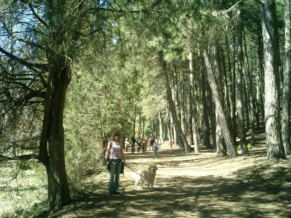 Casa Rural Canon De Rio Lobos II Касарехос Экстерьер фото